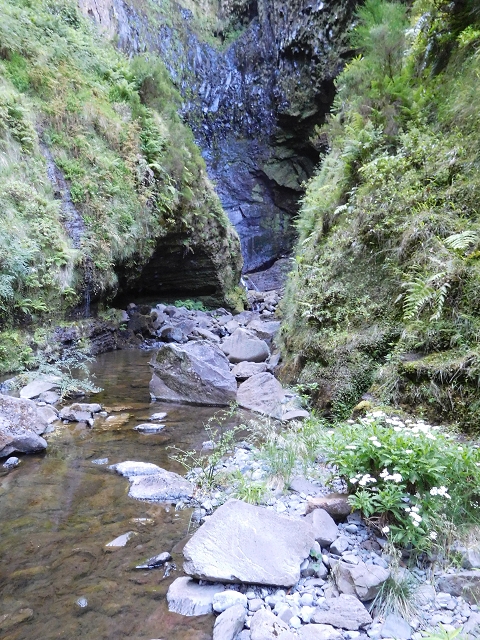 30 June 2016 Rabacal 2016 — Feeder levada to the Levada Vinte e Cinco Fontes — photo 8