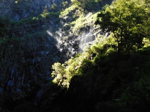 30 June 2016 Rabacal 2016 — Feeder levada to the Levada Vinte e Cinco Fontes — photo 9