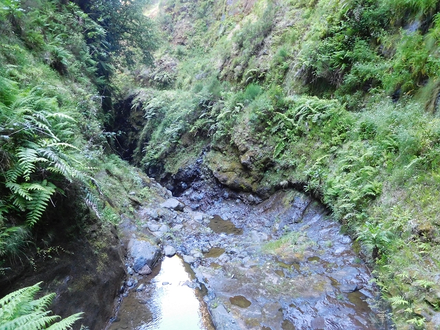 30 June 2016 Rabacal 2016 — Feeder levada to the Levada Vinte e Cinco Fontes — photo 11