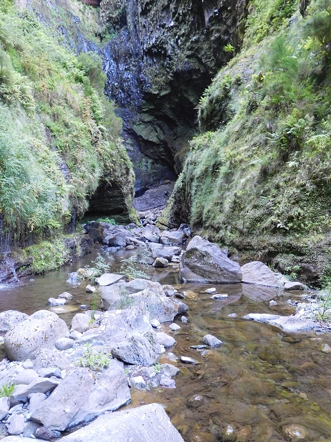 30 June 2016 Rabacal 2016 — Feeder levada to the Levada Vinte e Cinco Fontes — photo 13