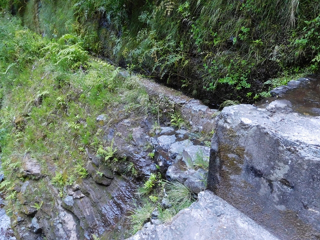 30 June 2016 Rabacal 2016 — Feeder levada to the Levada Vinte e Cinco Fontes — photo 15