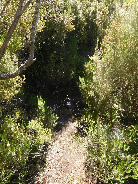 30 June 2016 Rabacal 2016 — Descent to the Madre of the Levada Vinte e Cinco Fontes — photo 7