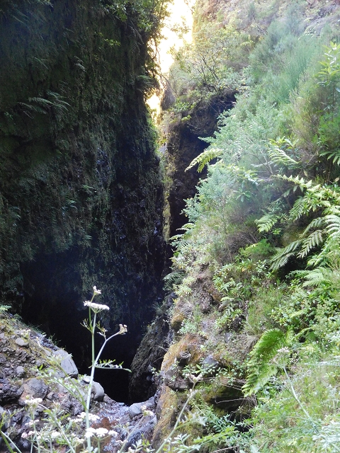 Levada Vinte e Cinco Fontes — Levada de adução da Ribeira Grande — foto 4