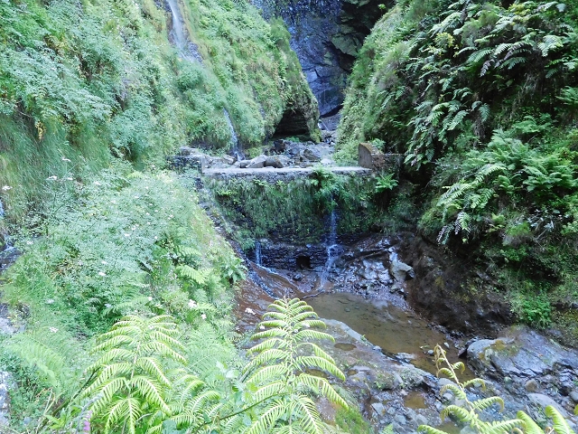 30 June 2016 Rabacal 2016 — Feeder levada to the Levada Vinte e Cinco Fontes — photo 18