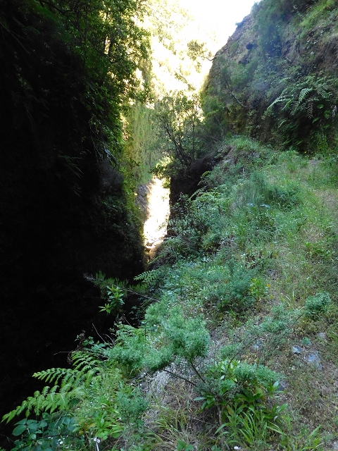 30 June 2016 Rabacal 2016 — Feeder levada to the Levada Vinte e Cinco Fontes — photo 19