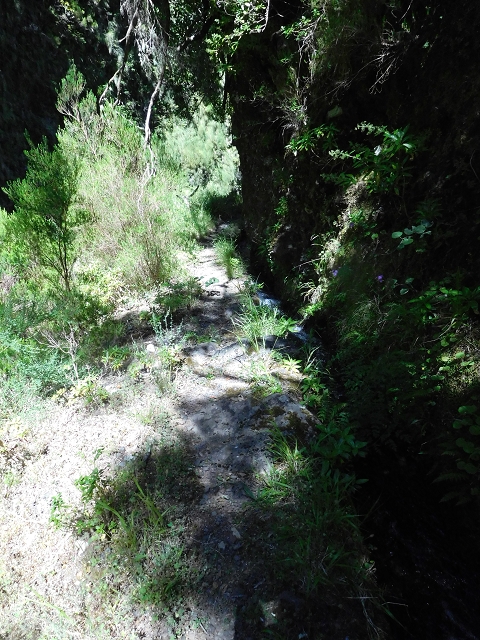 30 June 2016 Rabacal 2016 — Feeder levada to the Levada Vinte e Cinco Fontes — photo 20