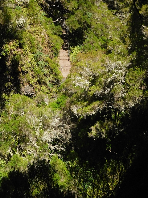 30 June 2016 Rabacal 2016 — Feeder levada to the Levada Vinte e Cinco Fontes — photo 21