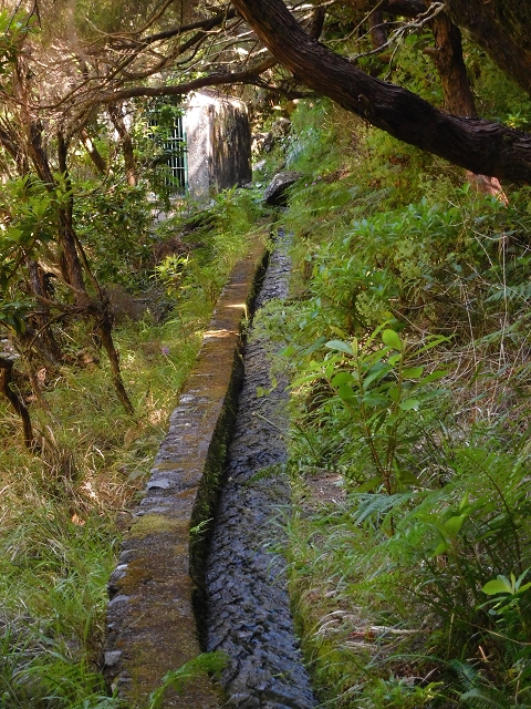 30 June 2016 Rabacal 2016 — Feeder levada to the Levada Vinte e Cinco Fontes — photo 22