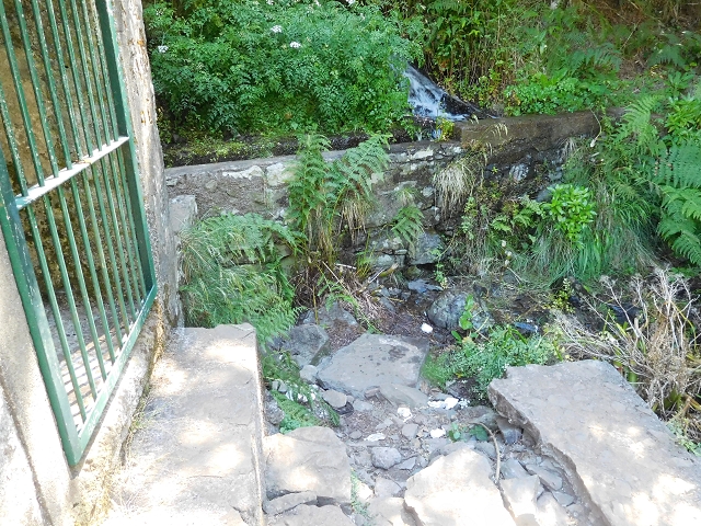30 June 2016 Rabacal 2016 — Feeder levada to the Levada Vinte e Cinco Fontes — photo 23