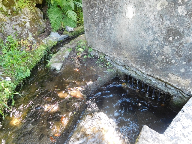 30 June 2016 Rabacal 2016 — Feeder levada to the Levada Vinte e Cinco Fontes — photo 24