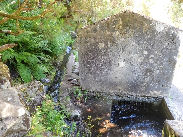 30 June 2016 Rabacal 2016 — Feeder levada to the Levada Vinte e Cinco Fontes — photo 25