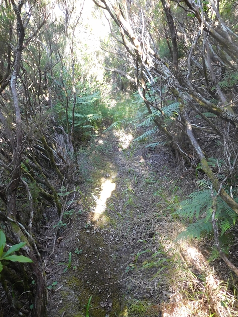 30 June 2016 Rabacal 2016 — Descent to the Madre of the Levada Vinte e Cinco Fontes — photo 8