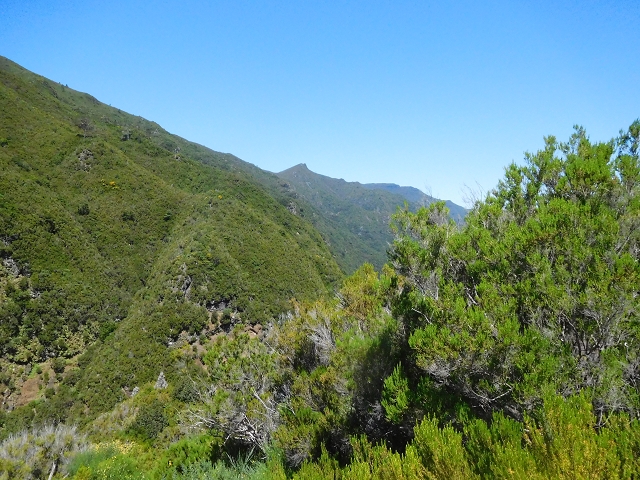 30 June 2016 Rabacal 2016 — Descent to the Rocha Vermelha — photo 3
