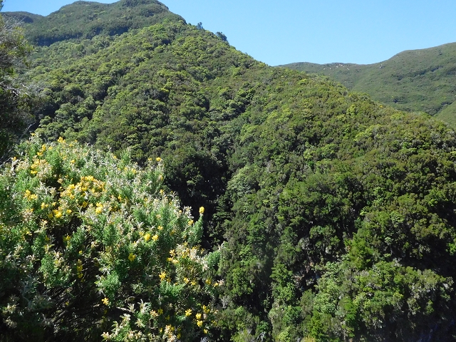 30 June 2016 Rabacal 2016 — Descent to the Rocha Vermelha — photo 4
