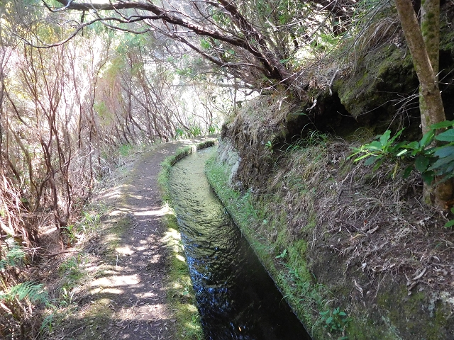 30 June 2016 Rabacal 2016 — On the Levada da Rocha Vermelho to the inflow of the Levada do Seixal — photo 1