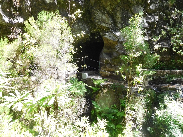 30 June 2016 Rabacal 2016 — On the Levada da Rocha Vermelho to the inflow of the Levada do Seixal — photo 2