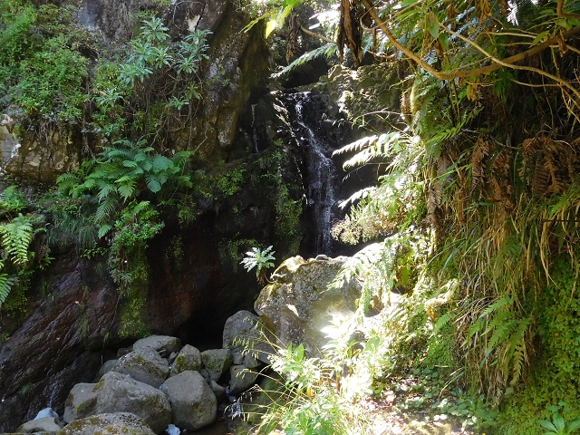 Levada do Seixal — Fassung der Ribeira dos Cedros und der Ribeira de Agua negra — Foto 3