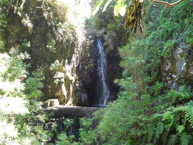 Levada do Seixal — Fassung der Ribeira dos Cedros und der Ribeira de Agua negra — Foto 2