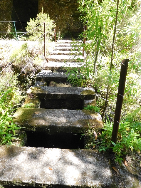 30 June 2016 Rabacal 2016 — On the Levada da Rocha Vermelho to the inflow of the Levada do Seixal — photo 5