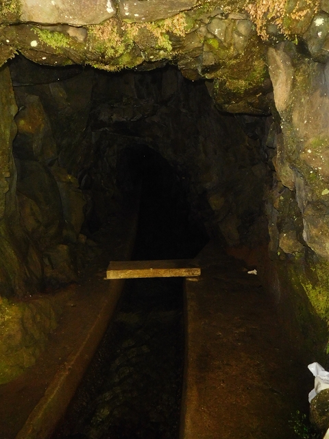 30 June 2016 Rabacal 2016 — On the Levada da Rocha Vermelho to the inflow of the Levada do Seixal — photo 6