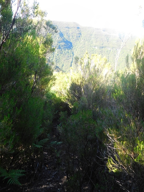 30 June 2016 Rabacal 2016 — Descent to the Madre of the Levada Vinte e Cinco Fontes — photo 9