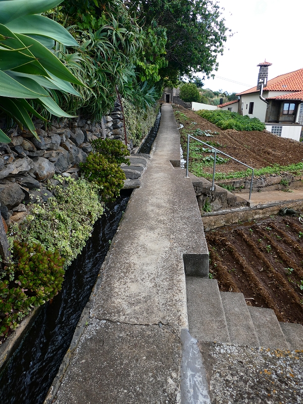 Levada do Caniço (de Baixo) — Beschreibung — Foto 31