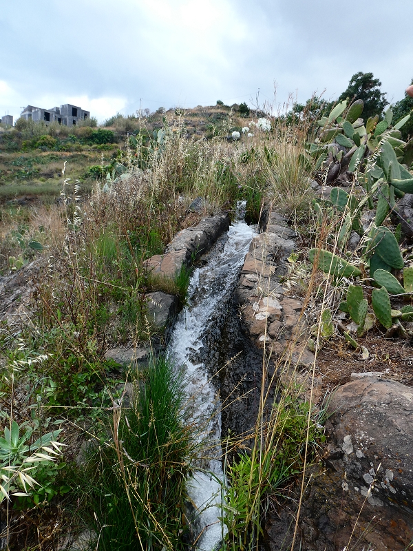 Levada do Caniço (de Baixo) — Beschreibung — Foto 40