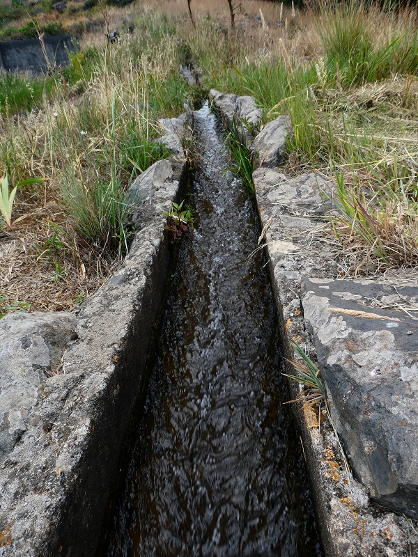 Levada do Caniço (de Baixo) — Beschreibung — Foto 41