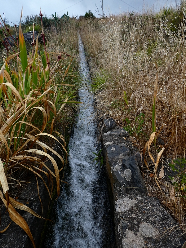 Levada do Caniço (de Baixo) — Beschreibung — Foto 42