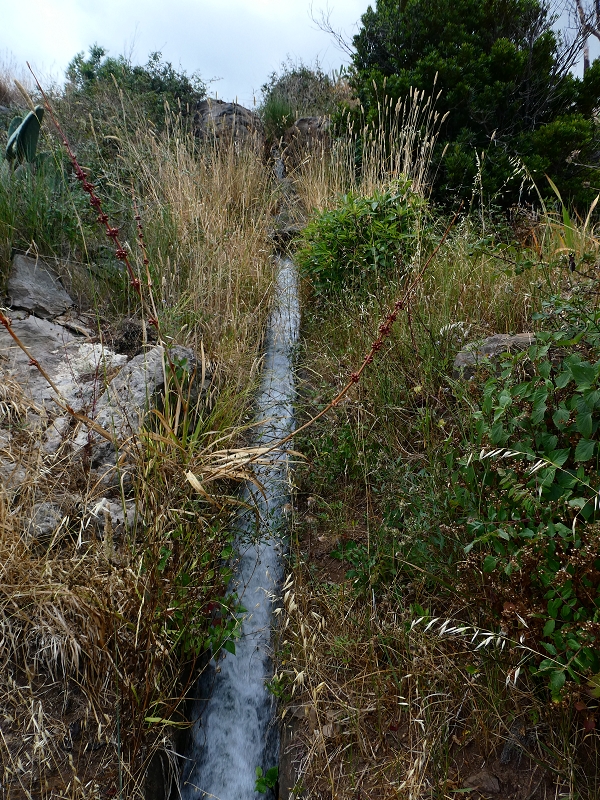 Levada do Caniço (de Baixo) — Beschreibung — Foto 43