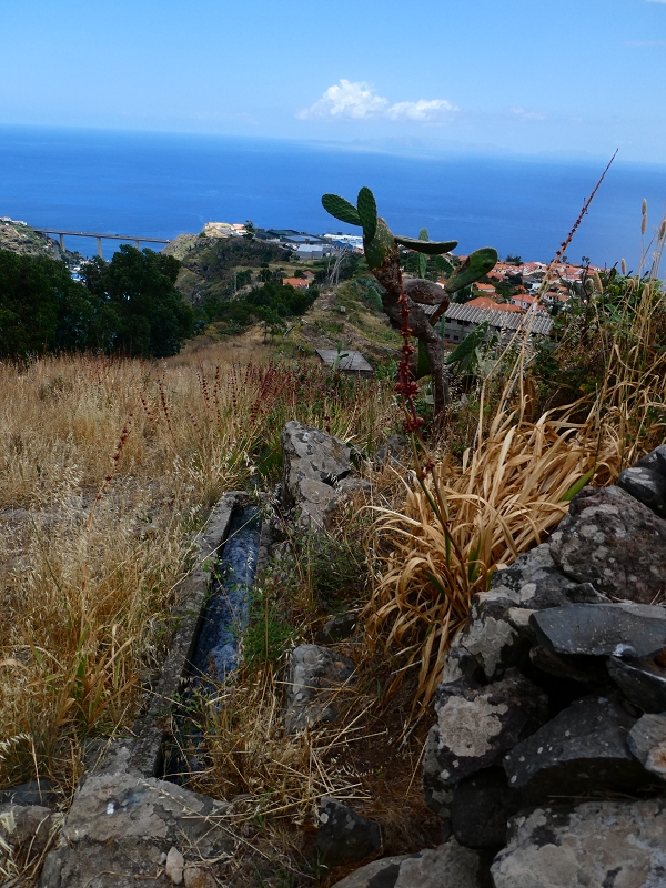 Levada do Caniço (de Baixo) — Beschreibung — Foto 44