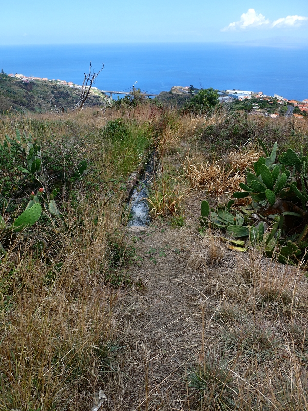 30 June 2018 A warm-up loop on the Caniço Trail around Assomada — Terminal branch of the Levada do Canico, with water house and old watermill by the reservoir — photo 18
