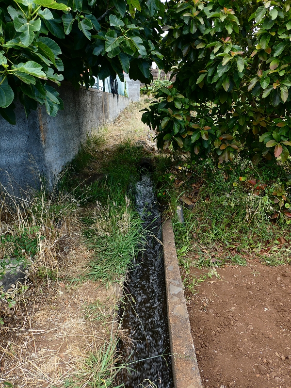 30 June 2018 A warm-up loop on the Caniço Trail around Assomada — Terminal branch of the Levada do Canico, with water house and old watermill by the reservoir — photo 20
