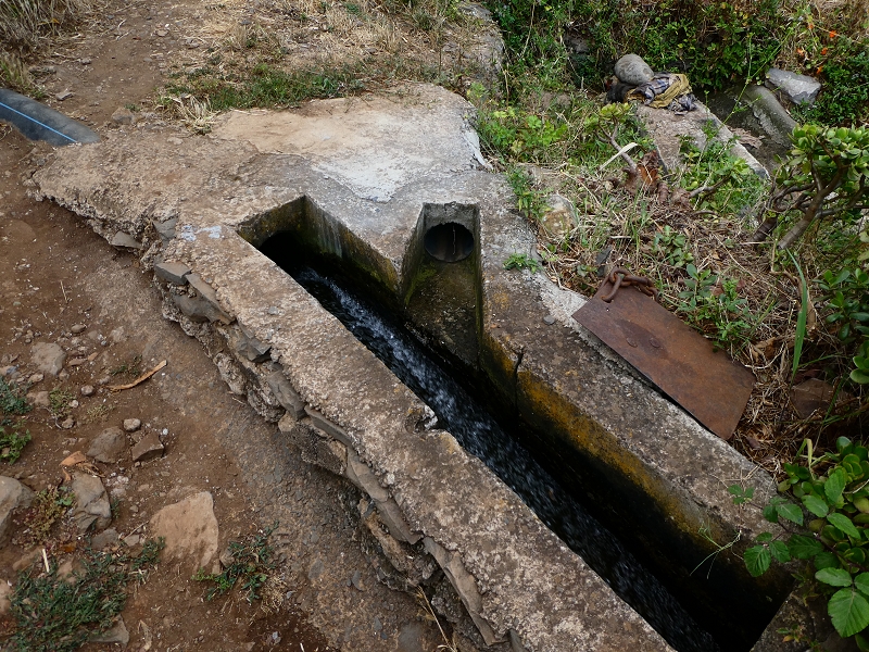 30 June 2018 A warm-up loop on the Caniço Trail around Assomada — Terminal branch of the Levada do Canico, with water house and old watermill by the reservoir — photo 21