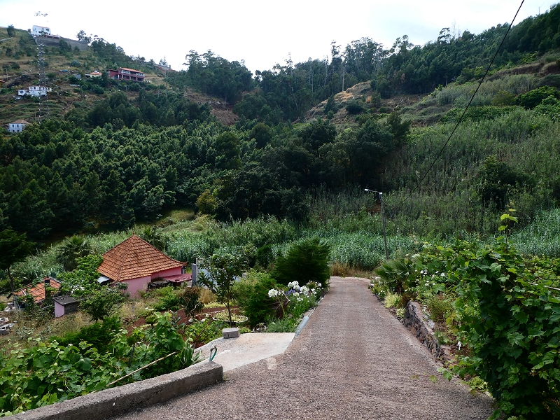 30 June 2018 A warm-up loop on the Caniço Trail around Assomada — On up, then traverse west to the northern side branch of the Levada dos Zimbreiros — photo 1
