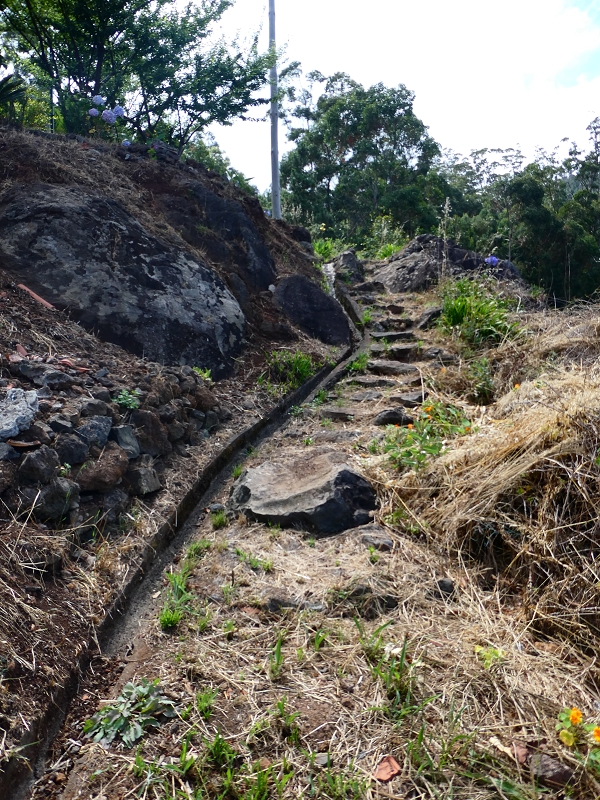 30 June 2018 A warm-up loop on the Caniço Trail around Assomada — On up, then traverse west to the northern side branch of the Levada dos Zimbreiros — photo 4