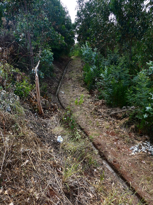 30 June 2018 A warm-up loop on the Caniço Trail around Assomada — On up, then traverse west to the northern side branch of the Levada dos Zimbreiros — photo 5