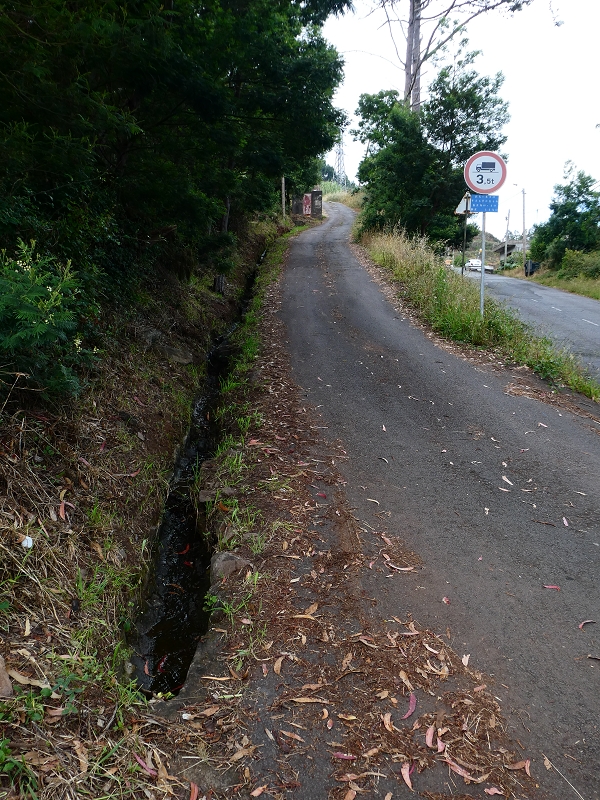 Levada do Pico do Arvoredo — Altes Wasserhaus vor Erreichen der ER-205 — Foto 2