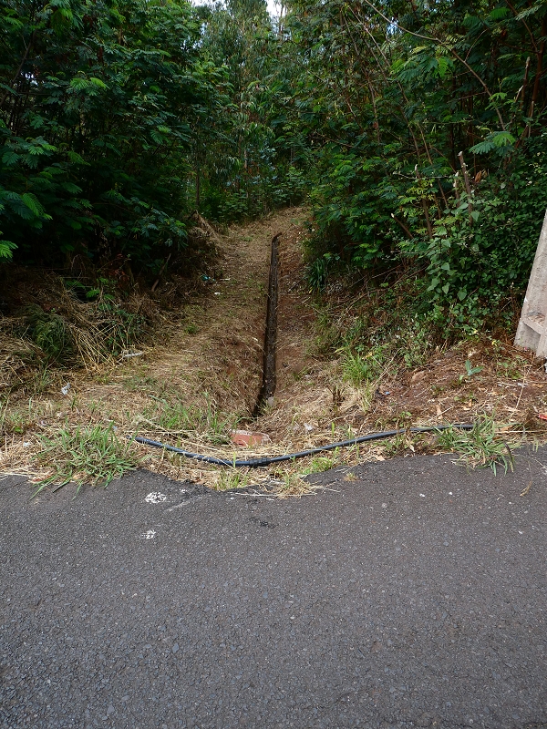 Levada do Pico do Arvoredo — Abzweigung von der ER-205 — Foto 1