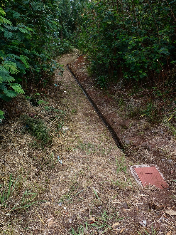 Levada do Pico do Arvoredo — Abzweigung von der ER-205 — Foto 2