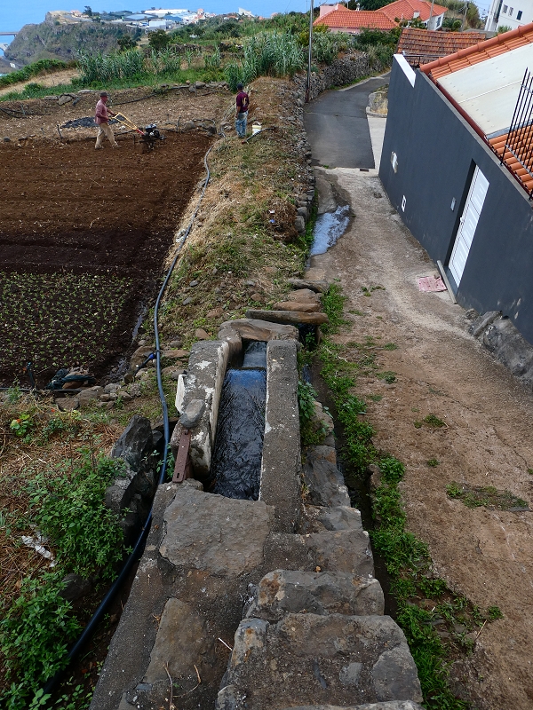 Levada do Caniço (de Baixo) — Beschreibung — Foto 35