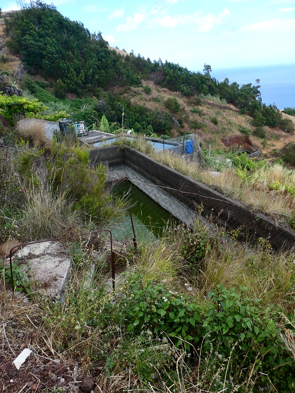 30 June 2018 A warm-up loop on the Caniço Trail around Assomada — Then a vertical levada — photo 3
