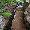 30 June 2018 A warm-up loop on the Caniço Trail around Assomada — Then a vertical levada — photo 4