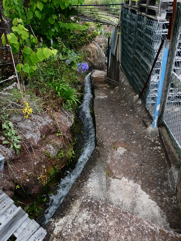 30 June 2018 A warm-up loop on the Caniço Trail around Assomada — Then a vertical levada — photo 5
