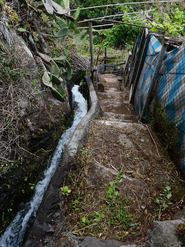 Levada do Pico do Arvoredo — Vertikal von der ER-205 zur ER-204, Speicherbecken — Foto 2