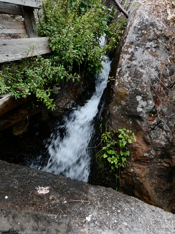 30 June 2018 A warm-up loop on the Caniço Trail around Assomada — Then a vertical levada — photo 7