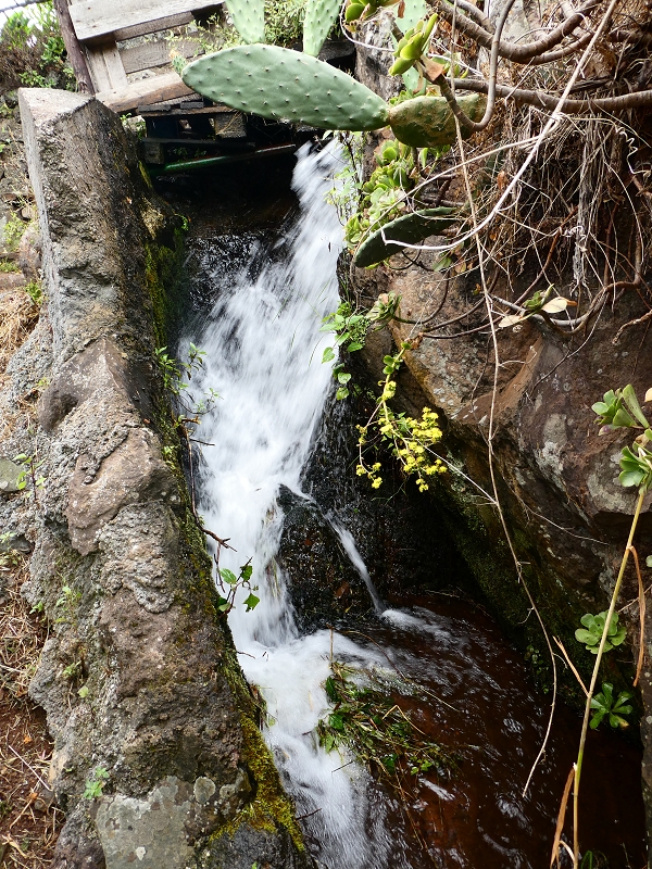 30 June 2018 A warm-up loop on the Caniço Trail around Assomada — Then a vertical levada — photo 8