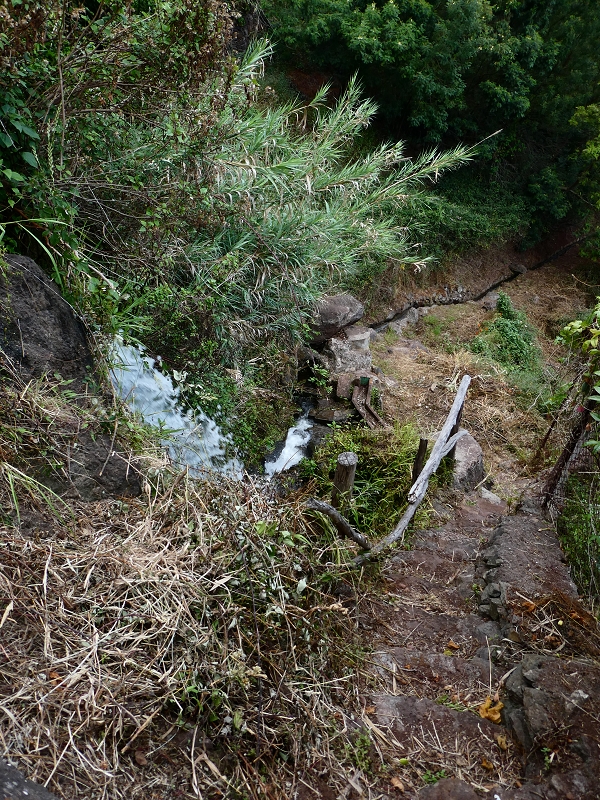 30 June 2018 A warm-up loop on the Caniço Trail around Assomada — Then a vertical levada — photo 9