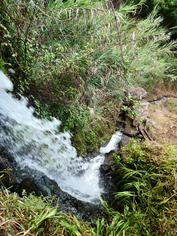 Levada do Pico do Arvoredo — Vertikal von der ER-205 zur ER-204, Speicherbecken — Foto 3
