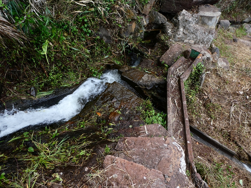 30 June 2018 A warm-up loop on the Caniço Trail around Assomada — Then a vertical levada — photo 11